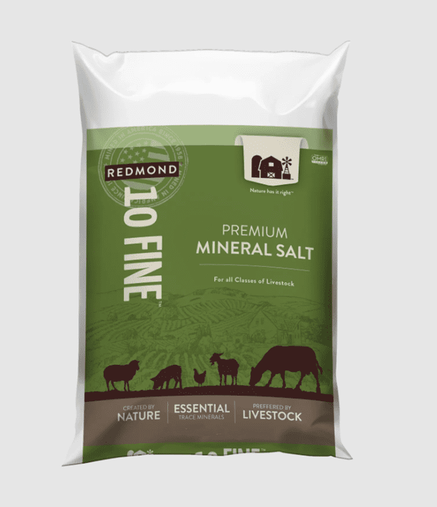 Redmond #10 loose salt bag